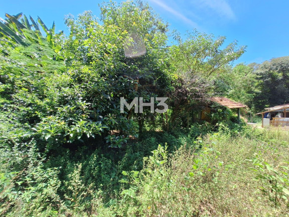 Imagem Imóvel com 4 Quartos à Venda, 110 m² em Chácara Santa Margarida - Campinas Imagem Imóvel com 4 Quartos à Venda, 110 m² em Chácara Santa Margarida - Campinas