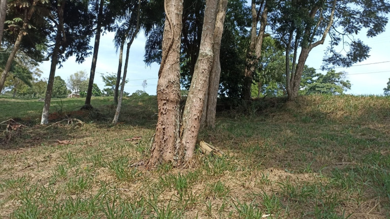 Imagem Chácara com 1 Quarto à Venda, 100 m² em Centro - Jambeiro Imagem Chácara com 1 Quarto à Venda, 100 m² em Centro - Jambeiro