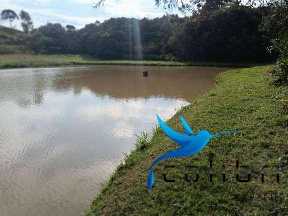 Imagem Chácara à Venda, 13.512 m² em Taquara Lisa - Agudos Do Sul Imagem Chácara à Venda, 13.512 m² em Taquara Lisa - Agudos Do Sul
