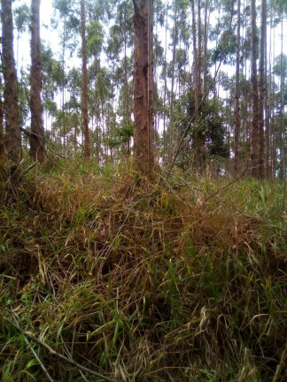 Imagem Terreno à Venda, 1 m² em Parque Santo Antônio - Jacareí Imagem Terreno à Venda, 1 m² em Parque Santo Antônio - Jacareí