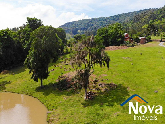 Imagem Imóvel à Venda, 50.000 m² em Linha Brasil - Nova Petrópolis Imagem Imóvel à Venda, 50.000 m² em Linha Brasil - Nova Petrópolis