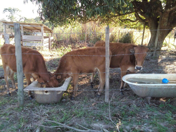 Imagem Chácara com 3 Quartos à Venda, 44 m² em Jundiacanga - Araçoiaba Da Serra Imagem Chácara com 3 Quartos à Venda, 44 m² em Jundiacanga - Araçoiaba Da Serra