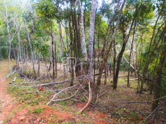Imagem Imóvel com 1 Quarto à Venda, 5.000 m² em Casa Montanha - Delfim Moreira Imagem Imóvel com 1 Quarto à Venda, 5.000 m² em Casa Montanha - Delfim Moreira