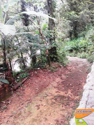 Imagem Chácara com 2 Quartos à Venda, 100 m² em Casanga - Ubatuba Imagem Chácara com 2 Quartos à Venda, 100 m² em Casanga - Ubatuba