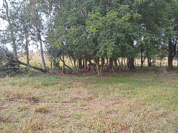 Imagem Terreno à Venda, 713 m² em águas Claras - Viamão