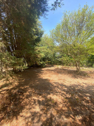 Imagem Terreno à Venda, 1.000 m² em Parque Dos Cafezais Ii - Itupeva Imagem Terreno à Venda, 1.000 m² em Parque Dos Cafezais Ii - Itupeva