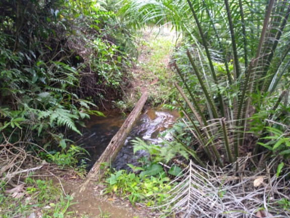 Imagem Imóvel à Venda, em Rural - Uruçuca Imagem Imóvel à Venda, em Rural - Uruçuca