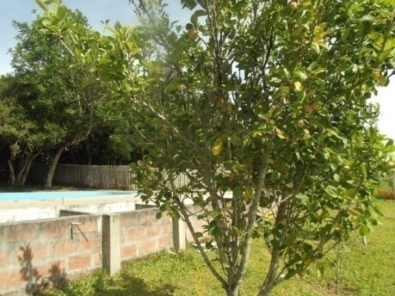Imagem Casa com 2 Quartos à Venda, 2.340 m² em águas Claras - Viamão