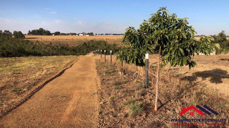 Imagem Chácara com 6 Quartos à Venda, 20.000 m² em Olhos D'água - Alexânia Imagem Chácara com 6 Quartos à Venda, 20.000 m² em Olhos D'água - Alexânia
