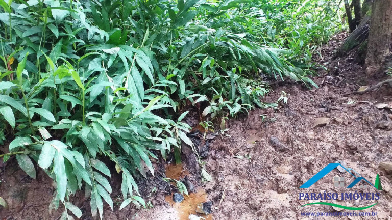 Imagem Chácara à Venda, 7 m² em Centro - Paraisópolis