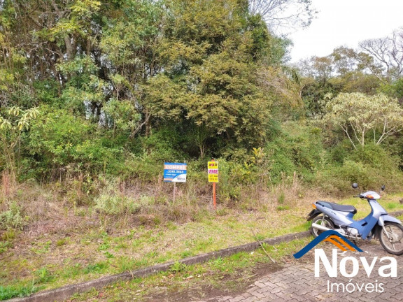 Imagem Imóvel à Venda, 1.636 m² em Pousada Da Neve - Nova Petrópolis Imagem Imóvel à Venda, 1.636 m² em Pousada Da Neve - Nova Petrópolis