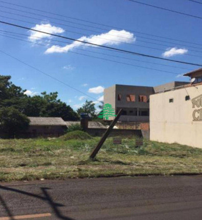 Imagem Terreno à Venda ou Locação, 545 m² em Vila Maracanã - Foz Do Iguaçu Imagem Terreno à Venda ou Locação, 545 m² em Vila Maracanã - Foz Do Iguaçu