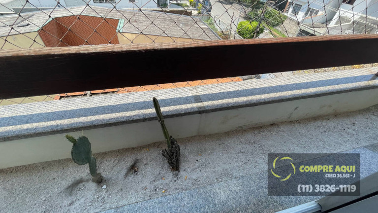 Imagem Apartamento com 3 Quartos à Venda, 97 m² em Bosque Da Saúde - São Paulo Imagem Apartamento com 3 Quartos à Venda, 97 m² em Bosque Da Saúde - São Paulo