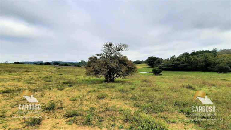 Imagem Fazenda à Venda, 90.000 m² em águas Claras - Viamão Imagem Fazenda à Venda, 90.000 m² em águas Claras - Viamão