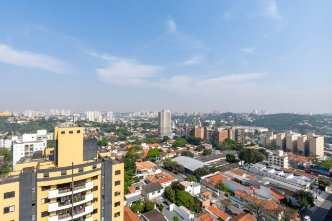 Imagem Imóvel com 3 Quartos à Venda, 223 m² em Vila Progredior - São Paulo Imagem Imóvel com 3 Quartos à Venda, 223 m² em Vila Progredior - São Paulo