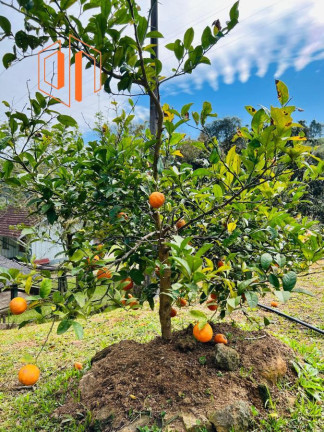 Imagem Imóvel à Venda, 10.000 m² em Contenda - São José Dos Pinhais Imagem Imóvel à Venda, 10.000 m² em Contenda - São José Dos Pinhais
