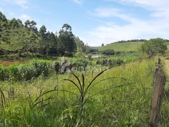 Imagem Fazenda à Venda, 600 m² em Pouso Alto - Natividade Da Serra Imagem Fazenda à Venda, 600 m² em Pouso Alto - Natividade Da Serra
