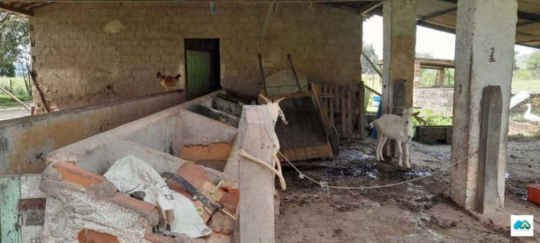 Imagem Chácara à Venda, 3.000 m² em Murici Imagem Chácara à Venda, 3.000 m² em Murici