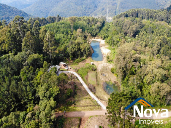 Imagem Imóvel à Venda, 32.549 m² em Linha Olinda - Nova Petrópolis Imagem Imóvel à Venda, 32.549 m² em Linha Olinda - Nova Petrópolis