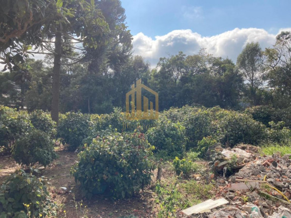 Imagem Terreno à Venda, 2.080 m² em Vila Santa Terezinha - Loteamento Vila Santo Onofre - Campo Largo