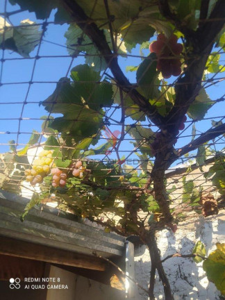 Imagem Casa com 3 Quartos à Venda, 100 m² em Recanto Da água Branca - Piracicaba Imagem Casa com 3 Quartos à Venda, 100 m² em Recanto Da água Branca - Piracicaba