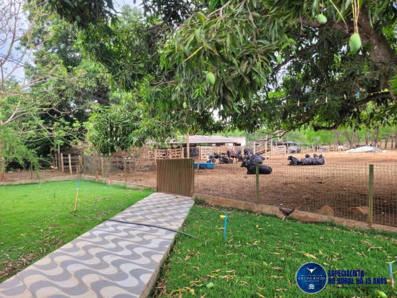 Imagem Chácara à Venda, 2 m² em Zona Rural - Petrolina De Goiás Imagem Chácara à Venda, 2 m² em Zona Rural - Petrolina De Goiás