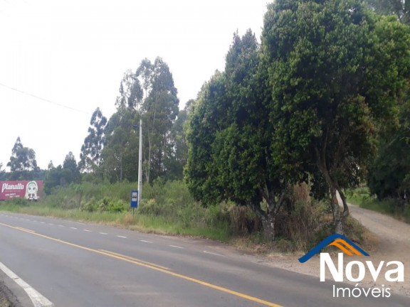 Imagem Imóvel à Venda, 10.211 m² em Linha Araripe - Nova Petrópolis Imagem Imóvel à Venda, 10.211 m² em Linha Araripe - Nova Petrópolis