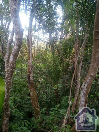 Imagem Imóvel com 4 Quartos à Venda, 172 m² em Parque Alvorada - Suzano Imagem Imóvel com 4 Quartos à Venda, 172 m² em Parque Alvorada - Suzano
