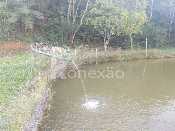 Imagem Chácara com 3 Quartos à Venda, 250 m² em Rio De Peixe - São José Dos Campos Imagem Chácara com 3 Quartos à Venda, 250 m² em Rio De Peixe - São José Dos Campos