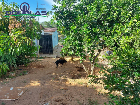 Imagem Casa com 4 Quartos à Venda, 475 m² em águas Claras - Viamão