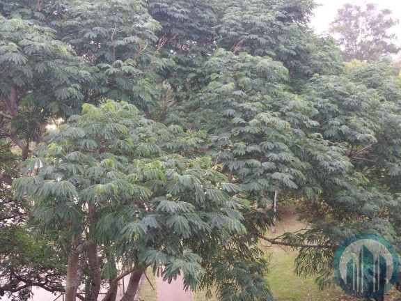 Imagem Apartamento com 3 Quartos à Venda, 113 m² em Vila Assunção - Santo André