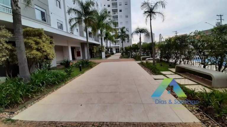 Imagem Apartamento com 3 Quartos à Venda, 65 m² em Vila Vera - São Paulo