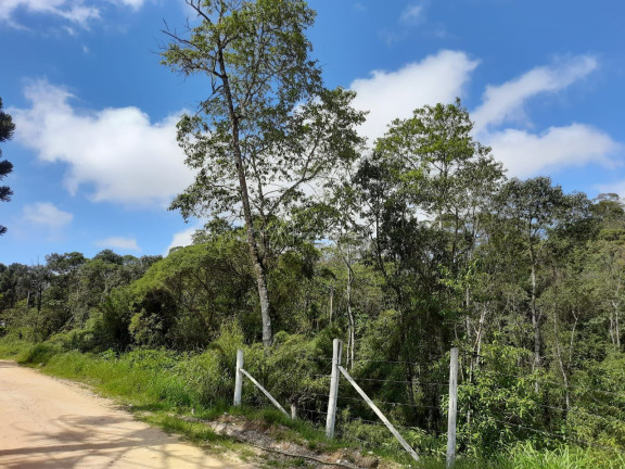 Imagem Fazenda à Venda, 58.665 m² em Pacotuba - Almirante Tamandaré Imagem Fazenda à Venda, 58.665 m² em Pacotuba - Almirante Tamandaré