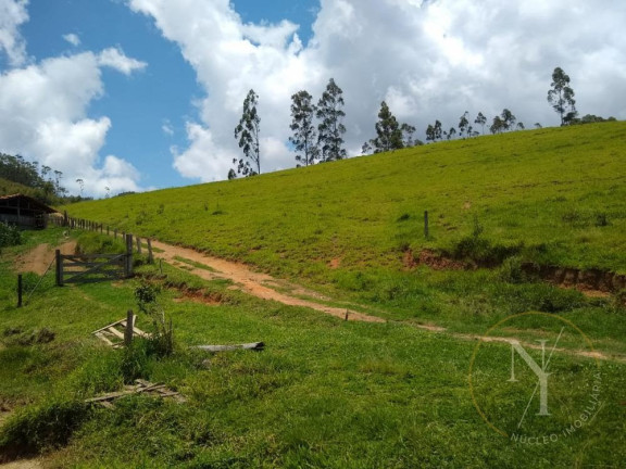 Imagem Imóvel com 3 Quartos à Venda, 1.968.000 m² em Centro - Joanópolis