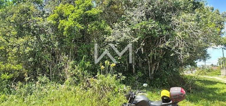 Imagem Terreno à Venda, 307 m² em Jardim Beira-mar - Peruíbe Imagem Terreno à Venda, 307 m² em Jardim Beira-mar - Peruíbe
