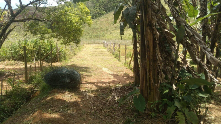 Imagem Chácara com 1 Quarto à Venda, 1.000 m² em Praia Da Maranduba - Ubatuba