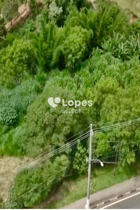 Imagem Terreno à Venda, 3.491 m² em Bosque - Vinhedo Imagem Terreno à Venda, 3.491 m² em Bosque - Vinhedo