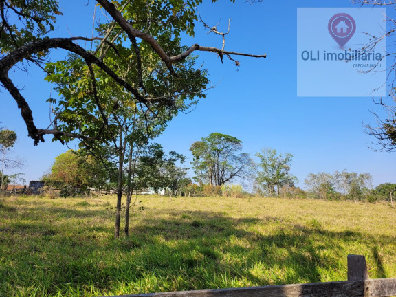 Imagem Imóvel à Venda, 97.000 m² em Bairro Soamin - Porto Feliz