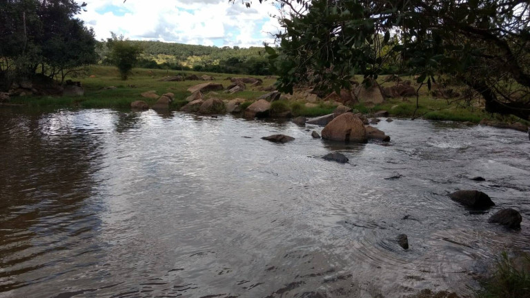 Imagem Fazenda à Venda, 18 m² em Zona Rural - Orizona