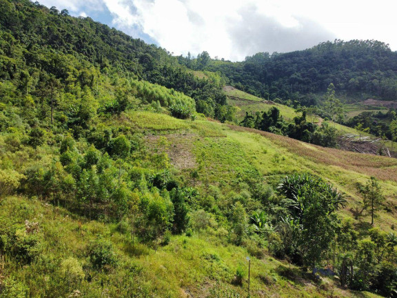 Imagem Fazenda à Venda, 256 m² em Centro - José Boiteux