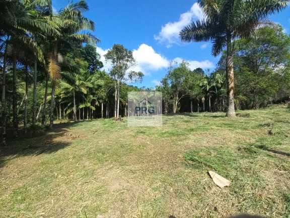 Imagem Terreno à Venda, 16.760 m² em Palestina - Juquitiba Imagem Terreno à Venda, 16.760 m² em Palestina - Juquitiba