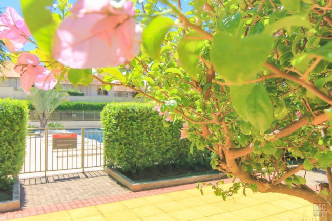 Imagem Apartamento com 3 Quartos à Venda, 90 m² em Ipanema - Porto Alegre