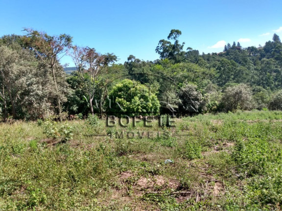 Imagem Imóvel com 1 Quarto à Venda, 21.696 m² em São Marcos - Bofete Imagem Imóvel com 1 Quarto à Venda, 21.696 m² em São Marcos - Bofete