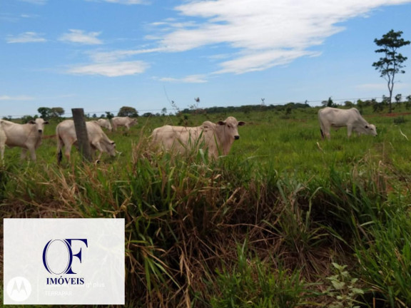 Imagem Fazenda à Venda, 3.097 m² em Rural - Chapadão Do Sul