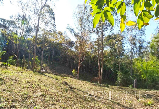 Imagem Fazenda à Venda, 70.000 m² em Sodrelândia - Trajano De Morais Imagem Fazenda à Venda, 70.000 m² em Sodrelândia - Trajano De Morais