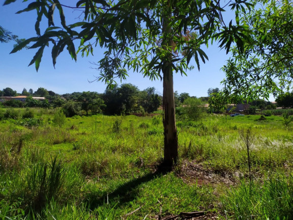 Imagem Imóvel à Venda, 2.000 m² em Novo Aeroporto - Londrina Imagem Imóvel à Venda, 2.000 m² em Novo Aeroporto - Londrina