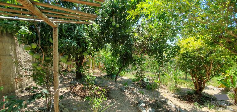 Imagem Casa com 4 Quartos à Venda, em Fernão Dias - Esmeraldas Imagem Casa com 4 Quartos à Venda, em Fernão Dias - Esmeraldas