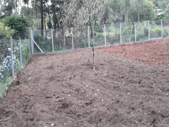 Imagem Terreno à Venda, 800 m² em Vale Dos Pinheiros - Gramado Imagem Terreno à Venda, 800 m² em Vale Dos Pinheiros - Gramado