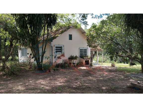 Imagem Imóvel com 3 Quartos à Venda, 280 m² em Campo Grande - Campinas