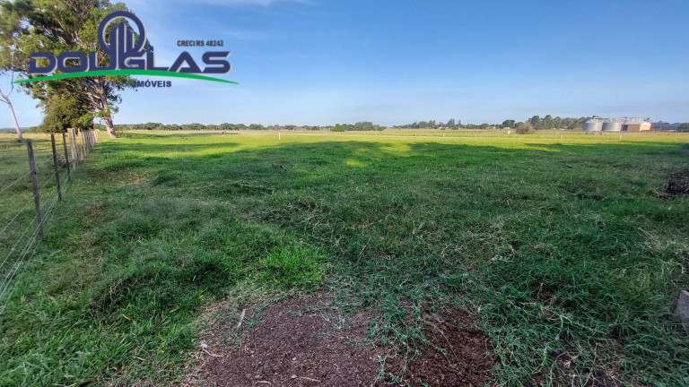 Imagem Chácara com 3 Quartos à Venda, 20.000 m² em águas Claras - Viamão